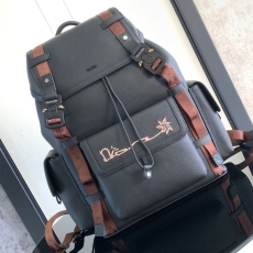 Dior Backpacks